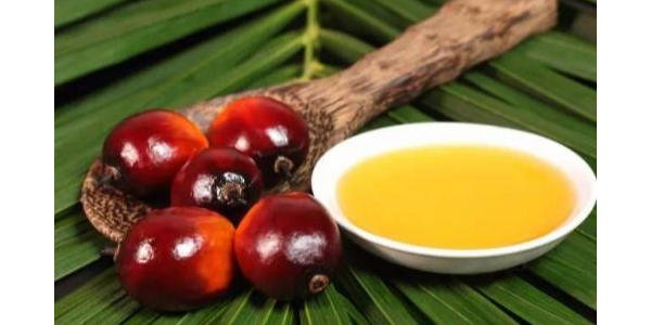 埃塞俄比亚从吉布提购买4337万升食用棕榈油