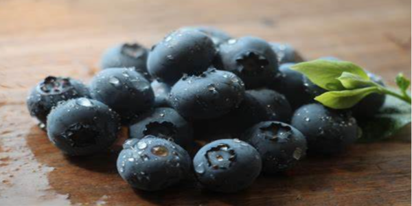 中国蓝莓进口第一？！秘鲁蓝莓出口有望突破25万吨