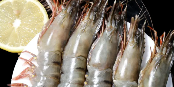 越南主要加工虾生产省加紧签订订单实现10亿美元出口额