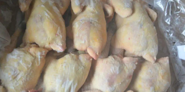 2023年1月巴西禽肉出口增长20.6%；中国、沙特、日本和欧盟主要市场增长强劲