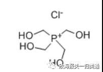 海关预归类