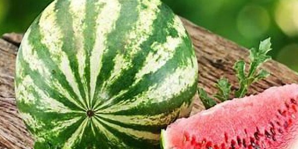 缅甸西瓜降价