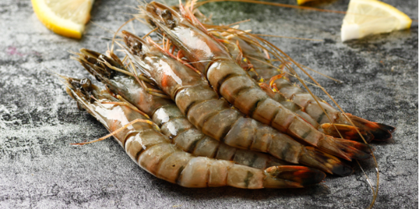 越南对中国的虾类出口增幅将放缓
