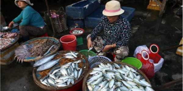 越南海产品加强对潜在市场的出口贸易