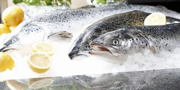 世界自然基金会俄罗斯分会：阿穆尔河的鲑鱼数量持续下降