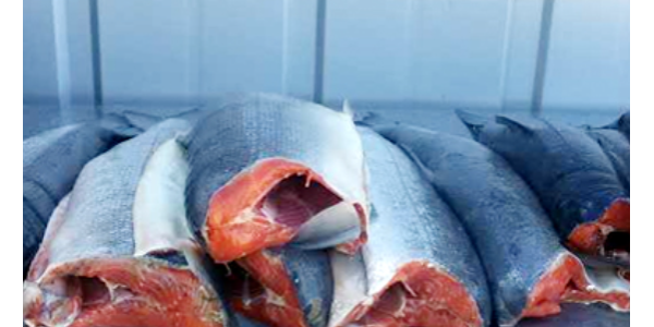 今年上半年韩国进口冷冻鲱鱼占进口海产品总量3.28%
