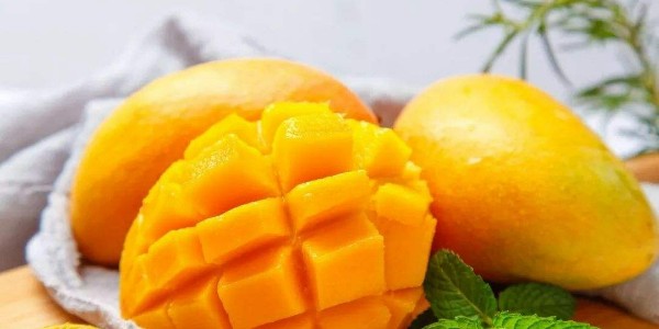 越南同塔省每年出口超 8万吨芒果