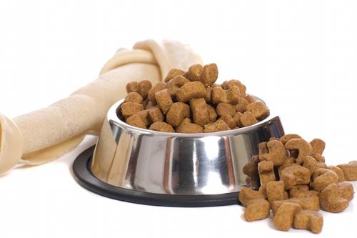 宠物食品许可证进口宠物食品（猫狗粮）需注意以下几点您get到了吗？JN江南官网(图2)