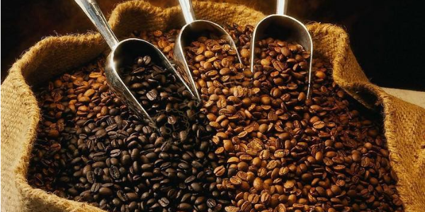 越南咖啡企业参加2023年老挝波罗芬高原咖啡、茶叶和其他农产品节