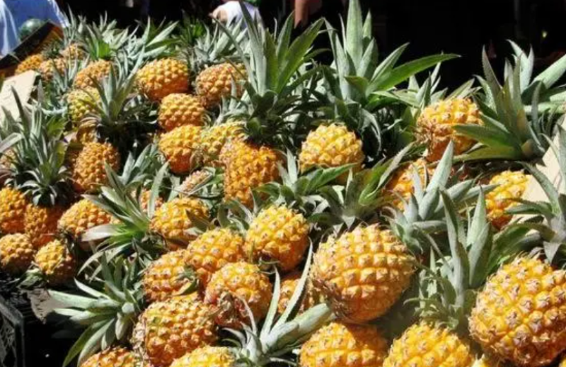 马来西亚菠萝出口额超16亿元，准备发力中国市场