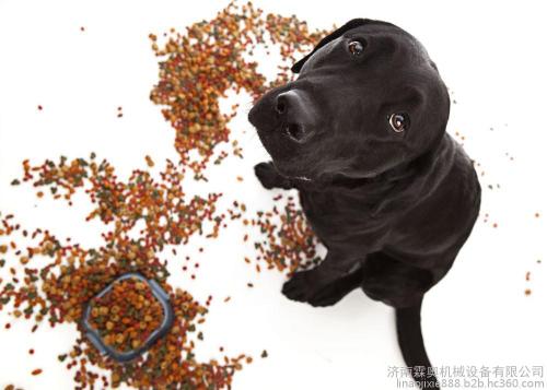 宠物食品许可证进口宠物食品（猫狗粮）需注意以下几点您get到了吗？JN江南官网(图1)