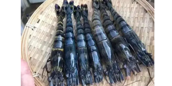 微信截图_20230207093515