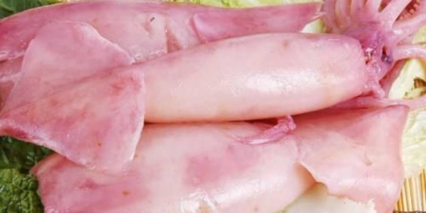 鱿鱼出口猛增！阿根廷 7 月份海产品销量增长 15%！