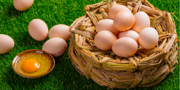 巴西九月蛋品出口收入增长12.3%； 巴西人年消费鸡蛋257只，中国年人均鸡蛋消费量为296只！