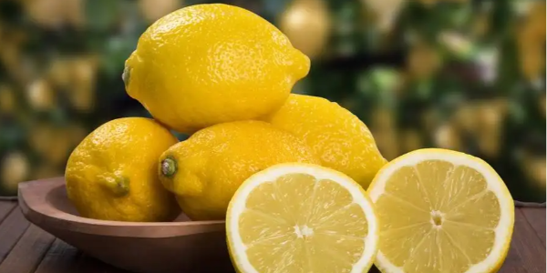 智利柑橘委员会：今年在中国市场重点推广柠檬