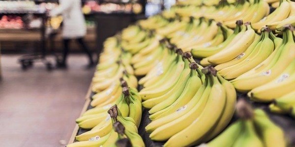 玻利维亚上半年香蕉出口增加 国内种植户为何陷入危机？
