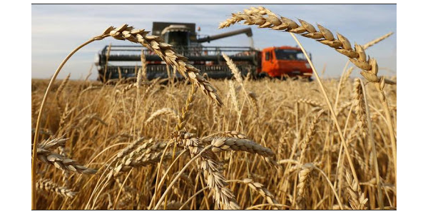 俄罗斯政府正式批准2022/23年度谷物出口配额