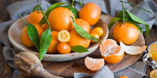 南半球柑橘产情预测出炉，柠檬橙子小幅增产