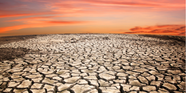 干旱或造成2022/23年度阿根廷谷物及油籽产量降至20年最低