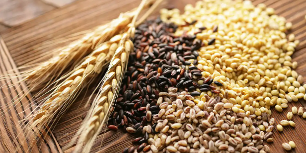 国际谷物理事会下调2022/23年度全球小麦产量预期