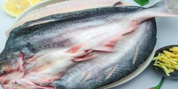 新西兰长寿鱼重获 MSC 认证！