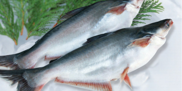 越南查鱼出口世界多个国家和地区