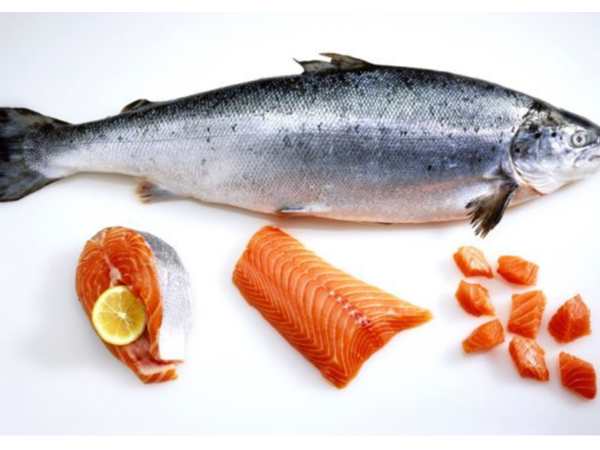 挪威出口商Coast Seafood收购一家丹麦加工厂