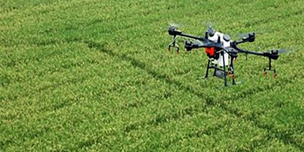 Dhanuka Agritech在印度推出新型杀虫剂DEFEND®（三氟苯嘧啶） 加强植保产品组合