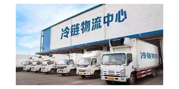 某区国际商贸冷链仓储物流中心项目长案例