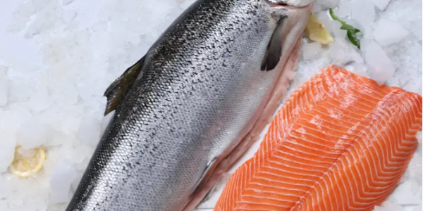 2022年挪威三文鱼价格因供应有限价格高涨