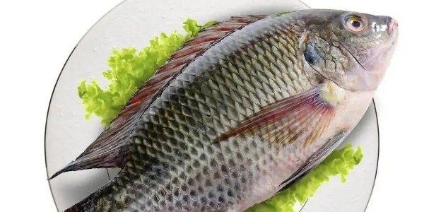 罗非鱼产品出口有哪些流程