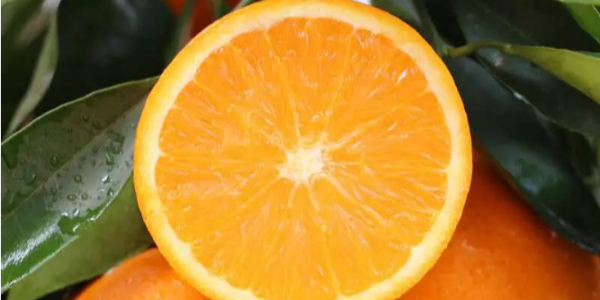 越南和平省首次向英国出口7吨高峰橙子
