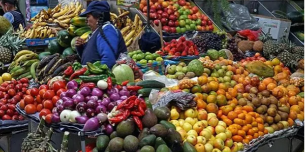 中国与厄瓜多尔达成自贸协定，火龙果、香蕉等将享优惠准入