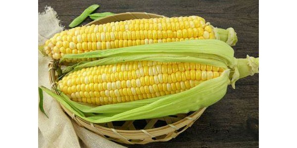 智利甜玉米派被选为全球最佳砂锅菜