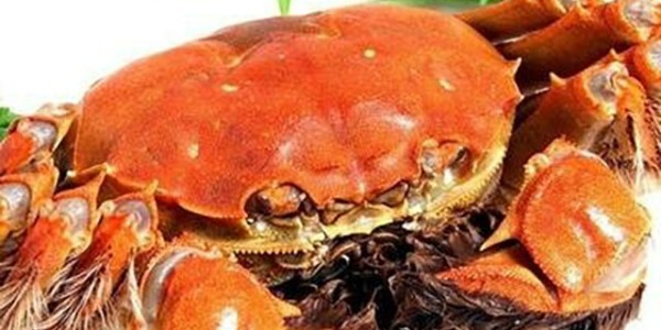 一家美国蟹类贸易商濒临退市