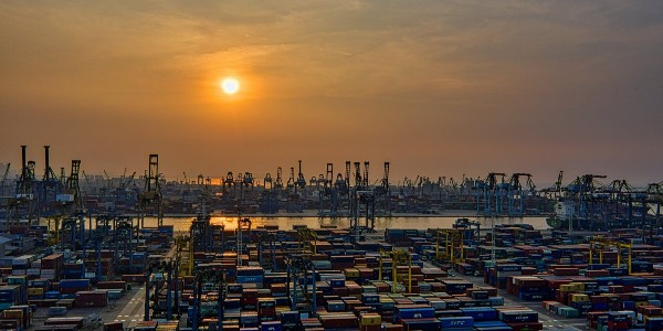 进口报关|海关总署公告2024年第119号（关于进口埃塞俄比亚芸豆植物检疫要求的公告）