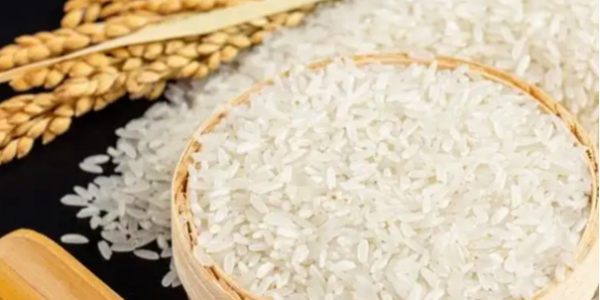 越南建立可持续的大米出口供应链