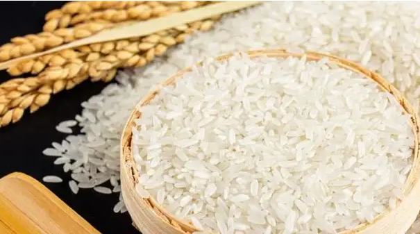 越南建立可持续的大米出口供应链