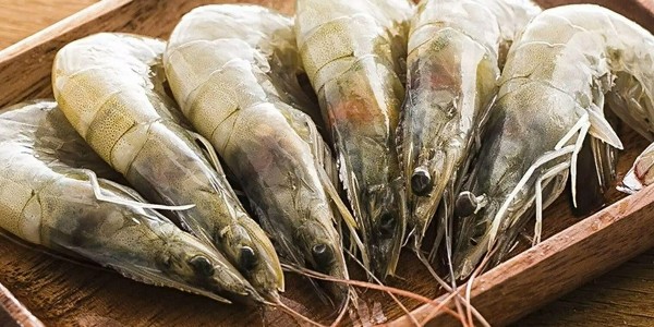厄瓜多尔虾重返泰国市场