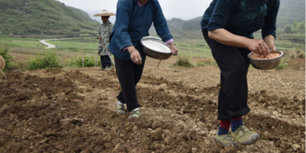 越南化肥企业限制出口稳定国内供应
