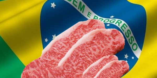 12年谈判终获成果 巴西获准向墨西哥出口牛肉