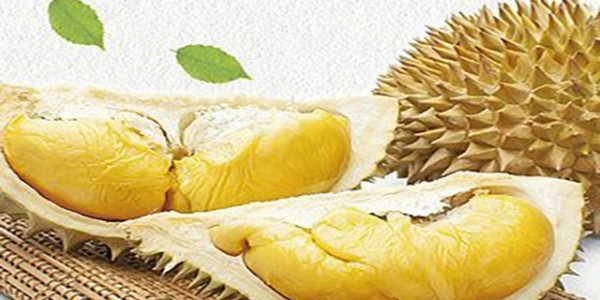 越南同奈省通过正贸渠道向中国出口首批360吨榴莲