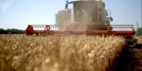 俄罗斯统计局：2022年俄罗斯小麦产量净重预计为1.0265亿吨