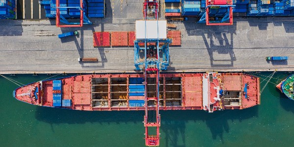 进口报关|【海关公告】2024年第130号丨关于防止挪威蓝舌病传入我国的公告